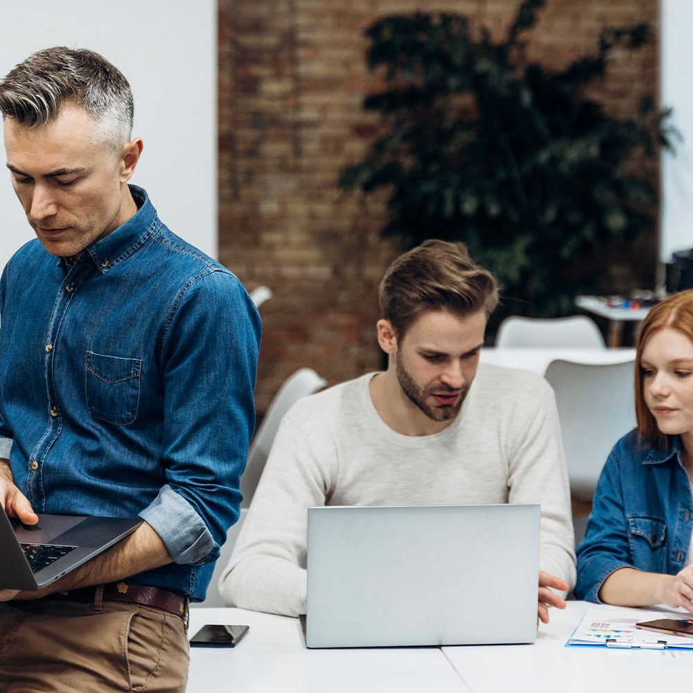 GÜL YAPI TADİLAT  Muğla Dekorasyon  Bodrum Kiralık Beton Makinası & Bodrumda Kiralık Yer Pompası Hizmet
